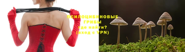 а пвп мука Абаза