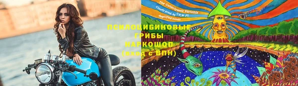 а пвп мука Абаза
