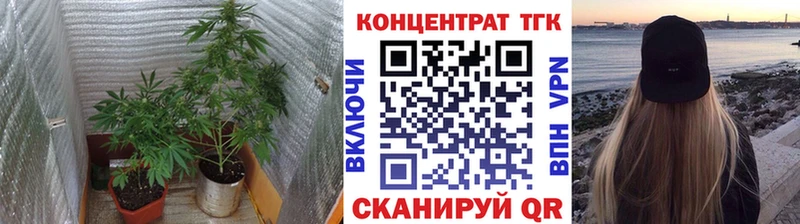 ТГК концентрат Калачинск