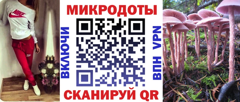 мега онион  Калачинск  Псилоцибиновые грибы Psilocybe 